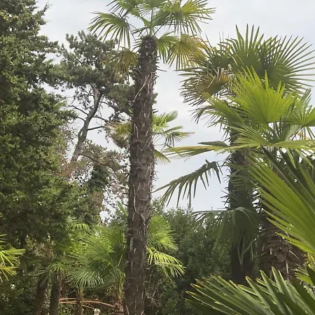 Apartmán Splendid View *