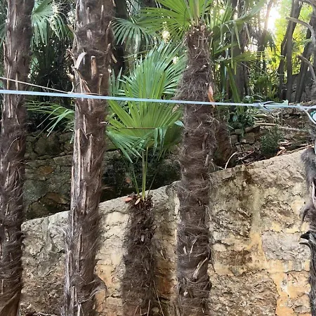 Splendid View Apartmán