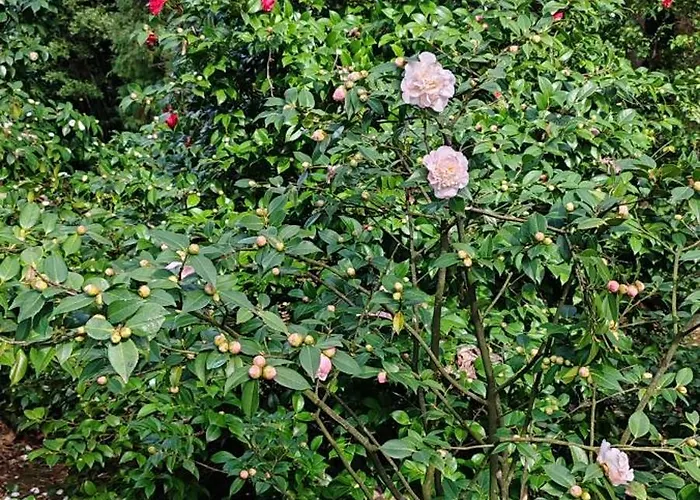 公寓 Splendid View *