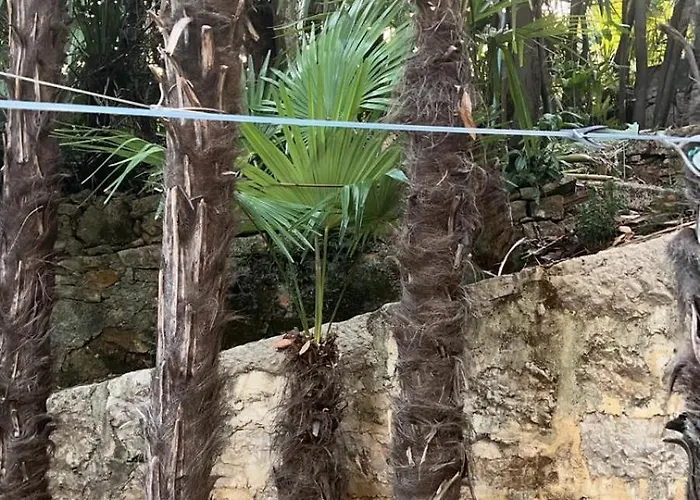 Splendid View Lejlighed