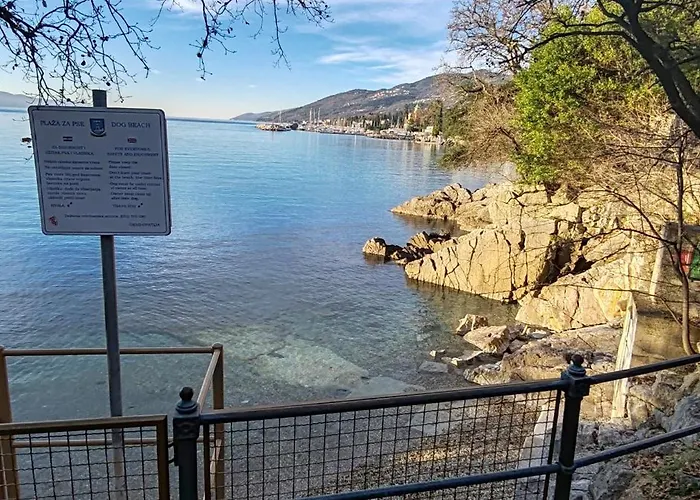 Splendid View Lejlighed