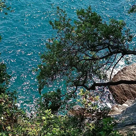 アパート Splendid View *